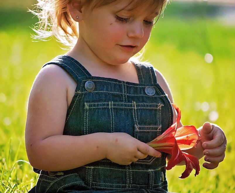 3 Best Fun ways to Learn Easy Shapes for Toddlers